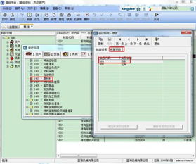 金蝶会计科目改成数量金额