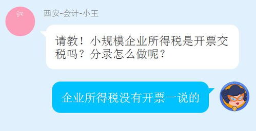 小规模企业所得税会计科目