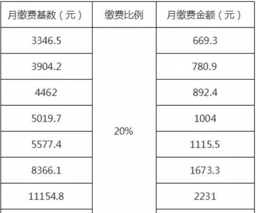 养老保险,会计科目