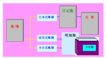 建账,养猪场,会计科目,有哪些