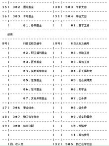 学校常用会计科目和分录,学校账务处理会计科目,民营学校会计科目