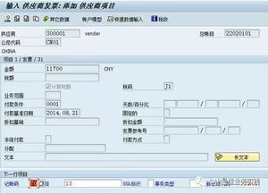 定义,资产,会计科目,sap