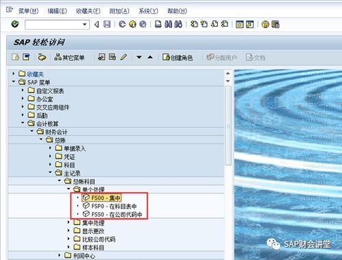 sap系统财务系统会计科目代码