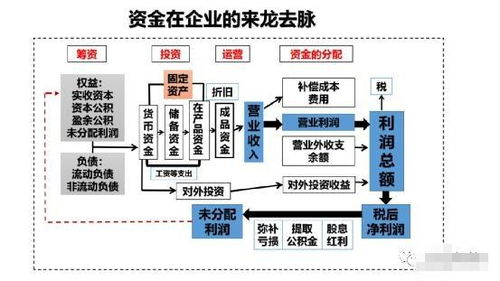 自有资金,会计科目