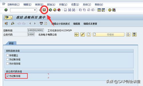 sap中冻结会计科目表