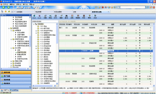 会计科目,erp