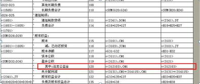 全称,会计科目,显示,kis