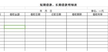 借款,长期,名称,会计科目