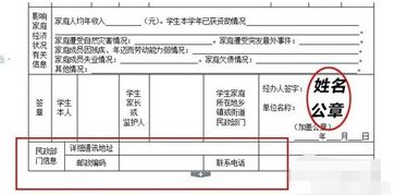 乡镇民政所会计科目