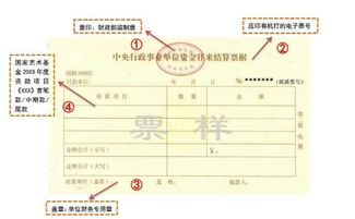 辽宁省非税收入统一收据记什么会计科目