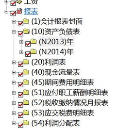 会计科目,投资,管理,公司