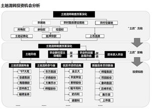 流转,农村土地,会计科目