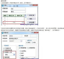 软件许可费用放在哪个会计科目