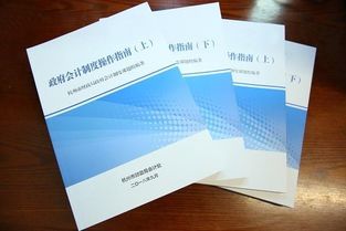 财政应返还额度是什么类科目,财政应返还额度是什么性质科目,财政应返还额度是什么意思?