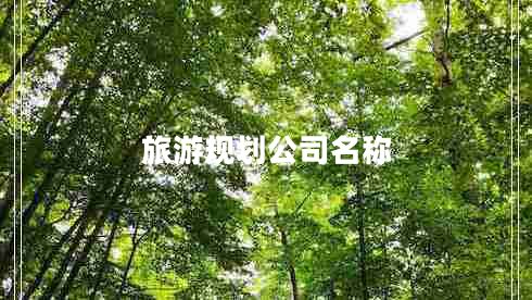 旅游规划公司名称