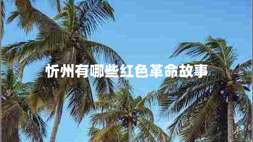 忻州有哪些红色革命故事