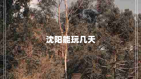 沈阳能玩几天