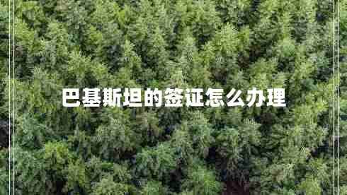 巴基斯坦的签证怎么办理