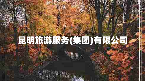 昆明旅游服务(集团)有限公司