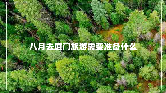 八月去厦门旅游需要准备什么