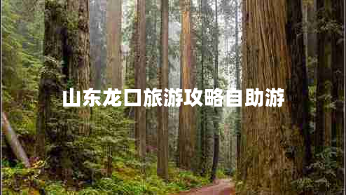 山东龙口旅游攻略自助游