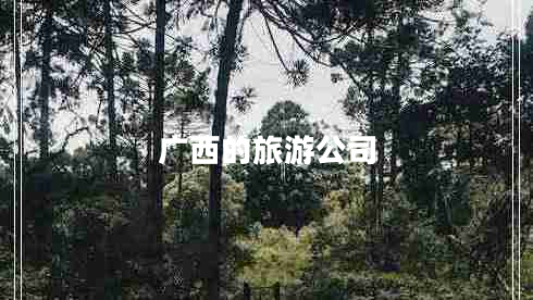 广西的旅游公司