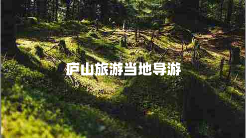 庐山旅游当地导游