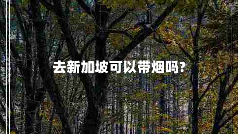 去新加坡可以带烟吗?