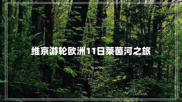 维京游轮欧洲11日莱茵河之旅