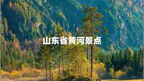 山东省黄河景点