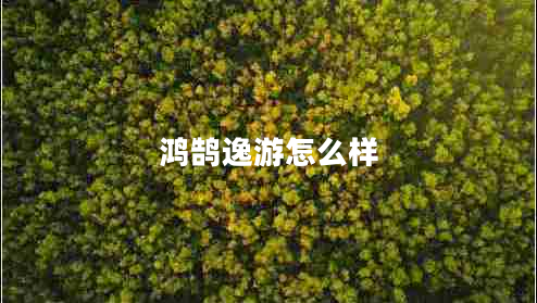 鸿鹄逸游怎么样