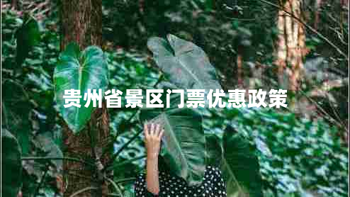 贵州省景区门票优惠政策