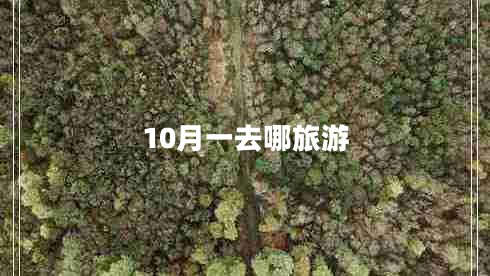 10月一去哪旅游