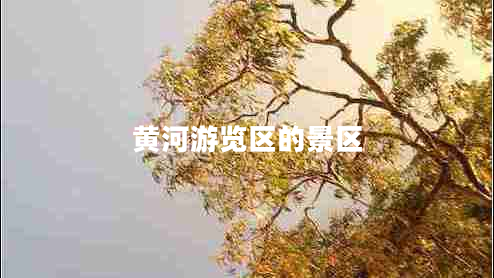 黄河游览区的景区