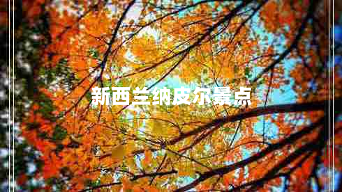 新西兰纳皮尔景点