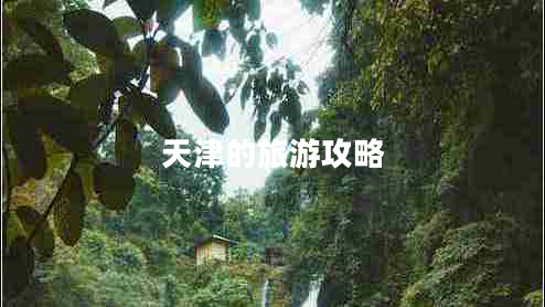 天津的旅游攻略