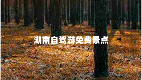 湖南自驾游免费景点