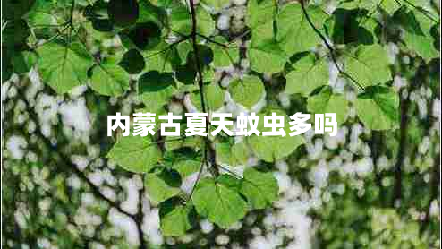 内蒙古夏天蚊虫多吗