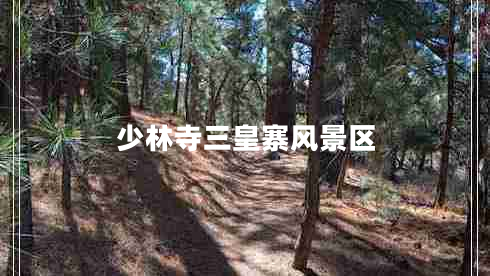 少林寺三皇寨风景区