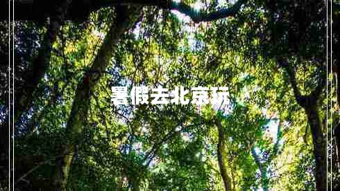 暑假去北京玩