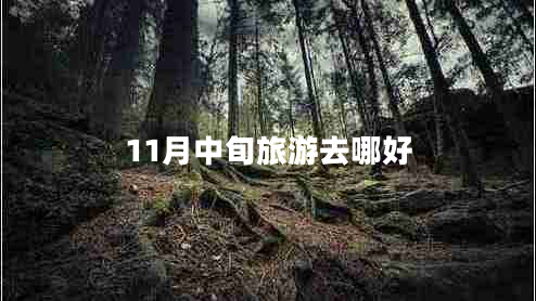 11月中旬旅游去哪好