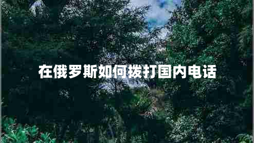 在俄罗斯如何拨打国内电话