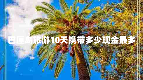 巴厘岛旅游10天携带多少现金最多