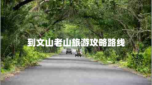 到文山老山旅游攻略路线