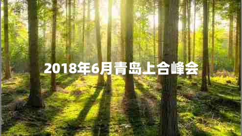 2018年6月青岛上合峰会