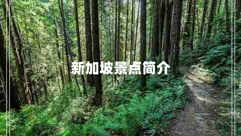 新加坡景点简介