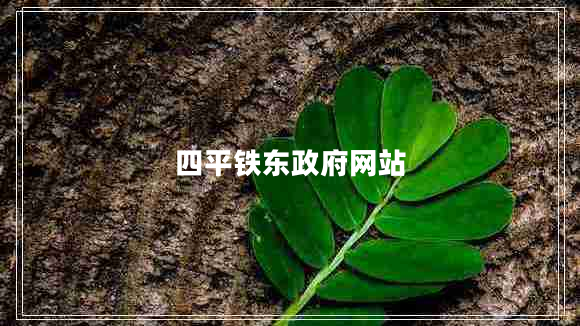 四平铁东政府网站