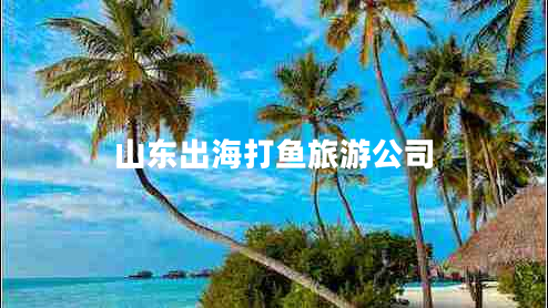 山东出海打鱼旅游公司