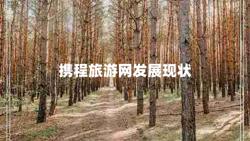 携程旅游网发展现状