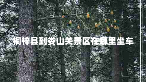 桐梓县到娄山关景区在哪里坐车